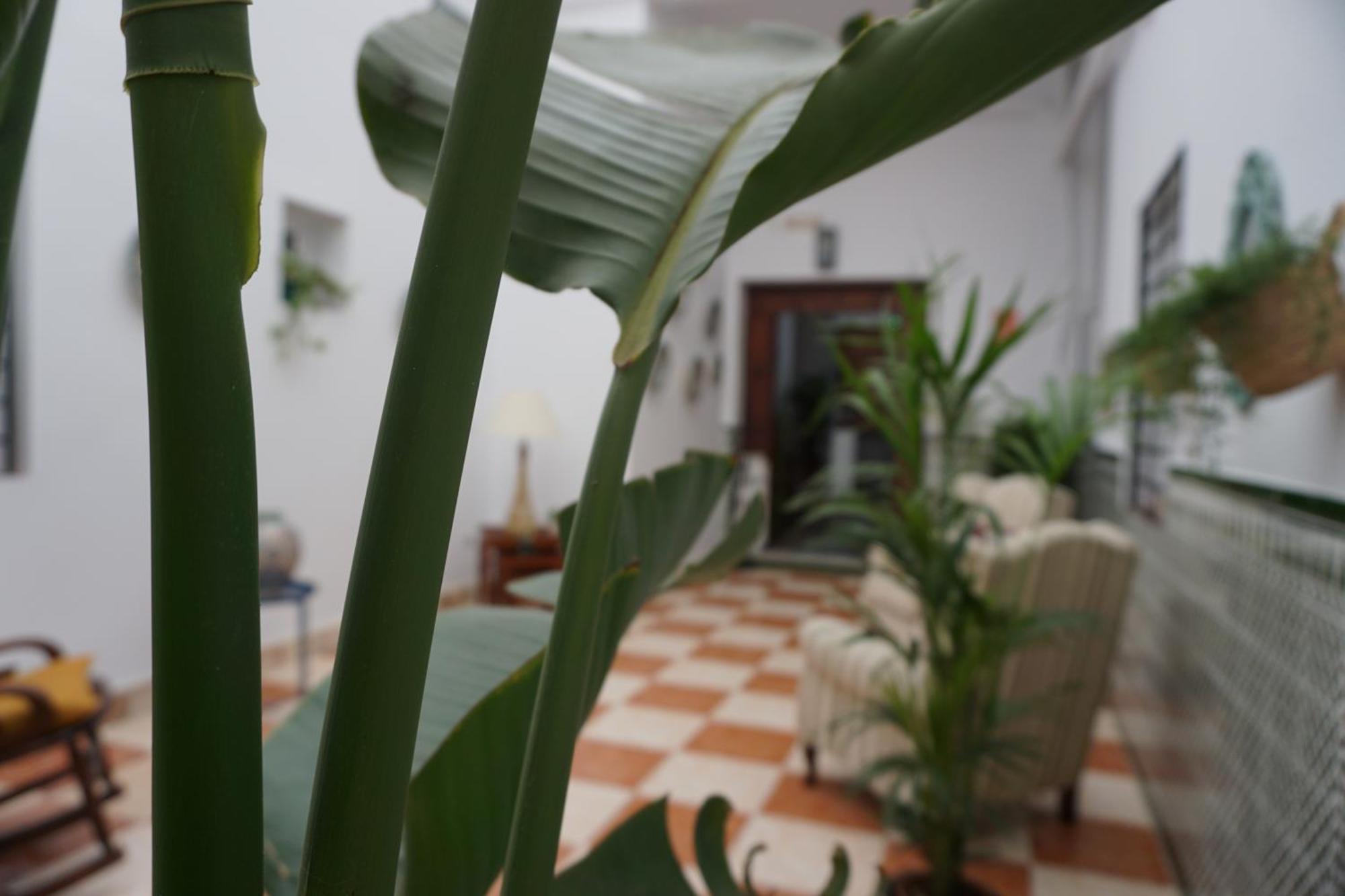 Montserrat Casa Del Mar Чипиона Екстериор снимка