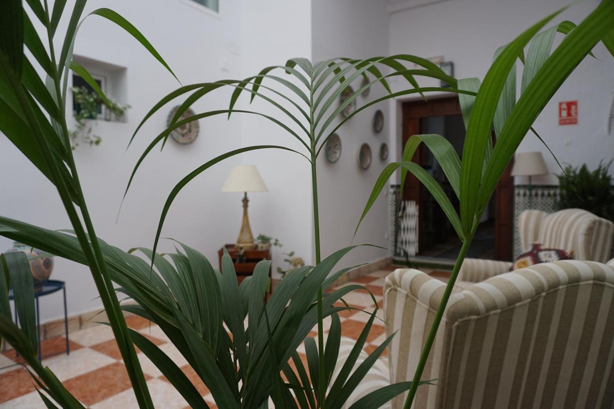Montserrat Casa Del Mar Чипиона Екстериор снимка